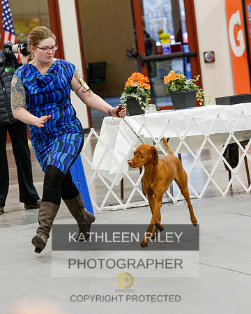 2022-KathleenRileyPhotography-2159