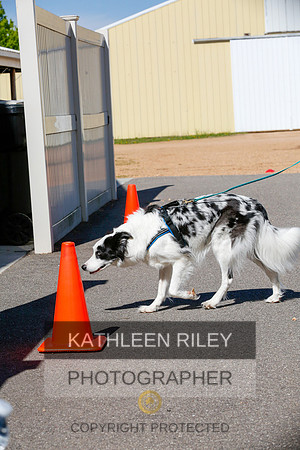 2022-KathleenRileyPhotography-4037