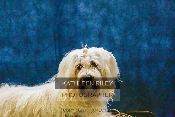 2022-KathleenRileyPhotography-9428