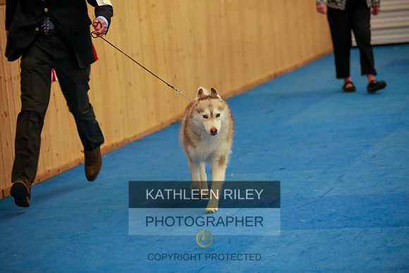 2022-KathleenRileyPhotography-6343