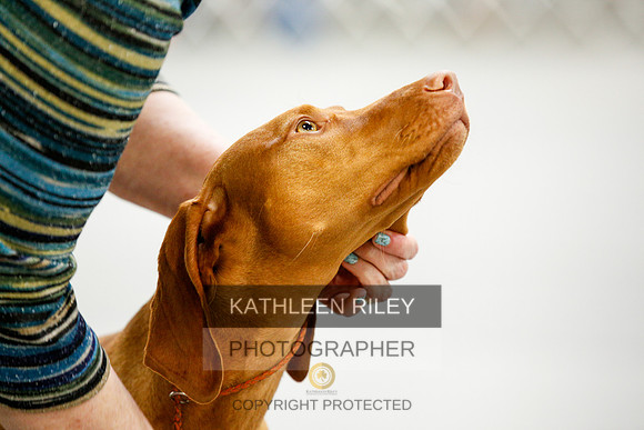 2022-KathleenRileyPhotography-9817