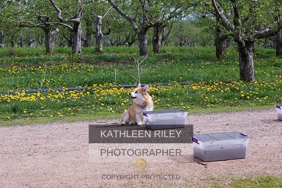 2022-KathleenRileyPhotography-8598