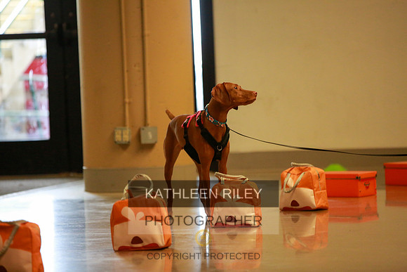 2022-KathleenRileyPhotography-7682