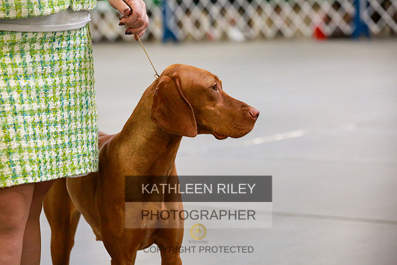 2022-KathleenRileyPhotography-8861