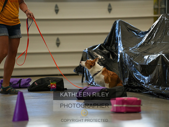 2022-KathleenRileyPhotography-03762