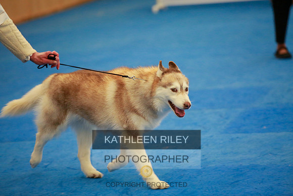2022-KathleenRileyPhotography-6449