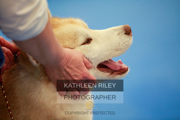 2022-KathleenRileyPhotography-6360