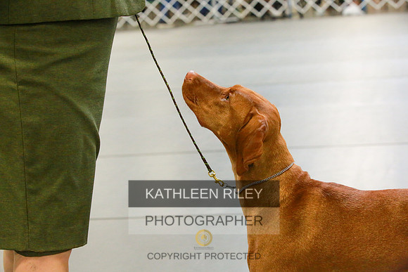 2022-KathleenRileyPhotography-8815