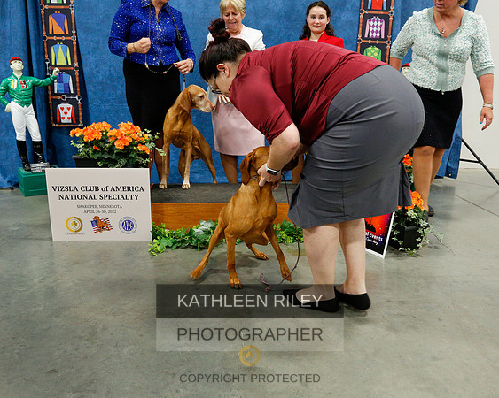 2022-KathleenRileyPhotography-7522