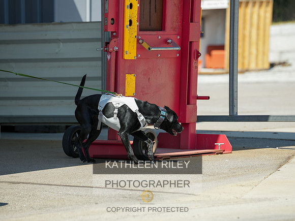 2022-KathleenRileyPhotography-04115