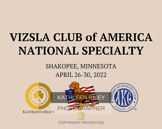 2022 VIZSLA CLUB of AMERICA NATIONAL