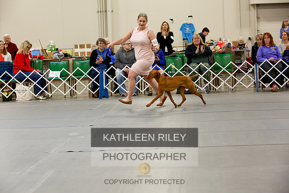 2022-KathleenRileyPhotography-9861