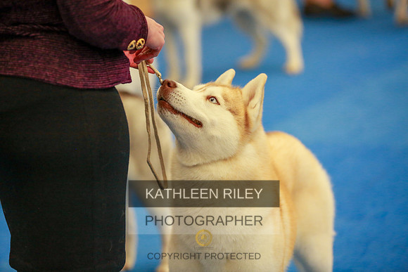 2022-KathleenRileyPhotography-6352
