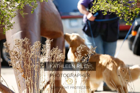2022-KathleenRileyPhotography-2630