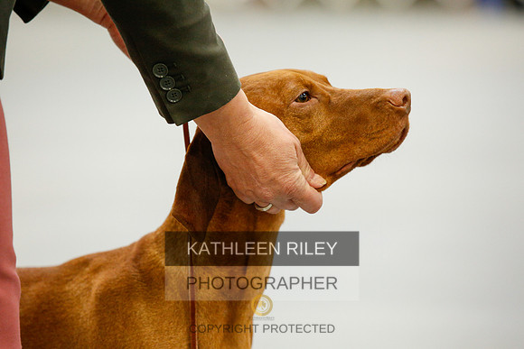 2022-KathleenRileyPhotography-9716