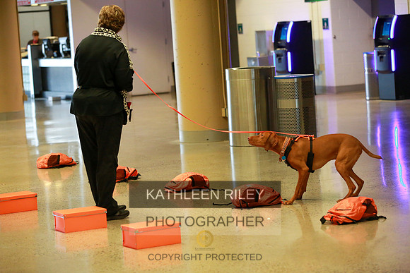 2022-KathleenRileyPhotography-7478