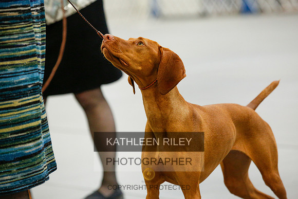 2022-KathleenRileyPhotography-9801