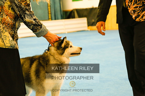 2022-KathleenRileyPhotography-8579