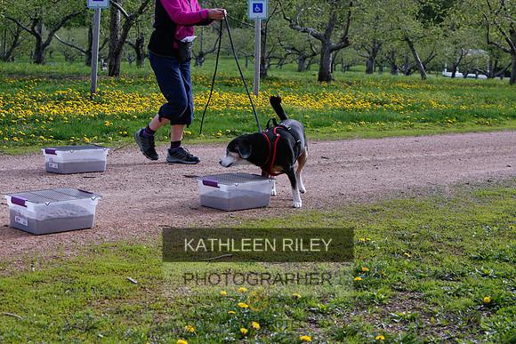 2022-KathleenRileyPhotography-8383