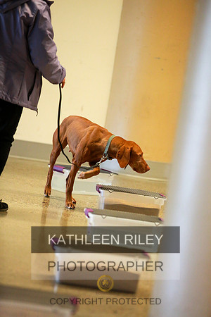 2022-KathleenRileyPhotography-7430