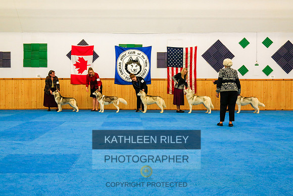 2022-KathleenRileyPhotography-9422