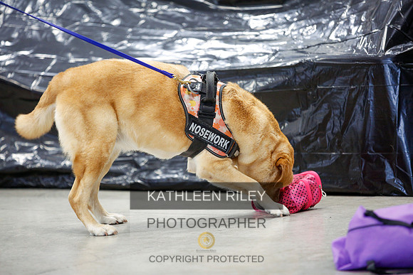 2022-KathleenRileyPhotography-7406