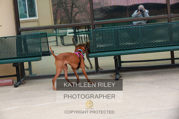 2022-KathleenRileyPhotography-7606