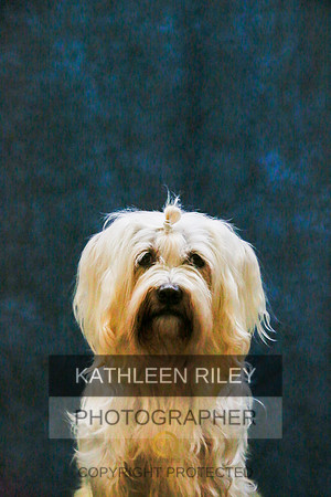 2022-KathleenRileyPhotography-9419