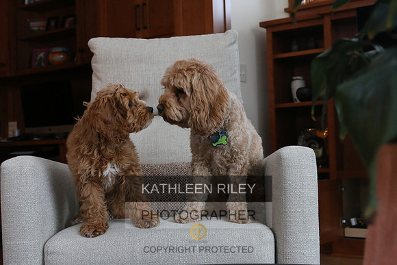 2022-KathleenRileyPhotography-1096