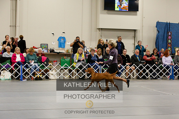 2022-KathleenRileyPhotography-0725