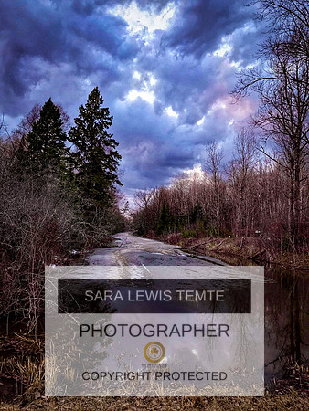 2021-SLT-Beaver-Habitat