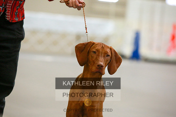 2022-KathleenRileyPhotography-8716