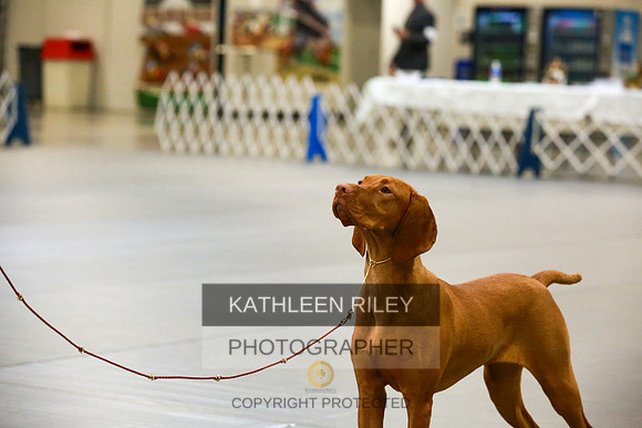 2022-KathleenRileyPhotography-8710