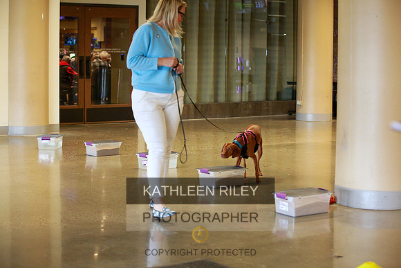 2022-KathleenRileyPhotography-7672