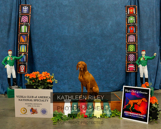 2022-KathleenRileyPhotography-6145
