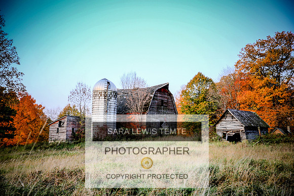 2019-Sara-Temte-Photography-3120