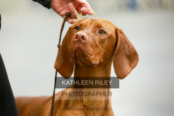 2022-KathleenRileyPhotography-8622