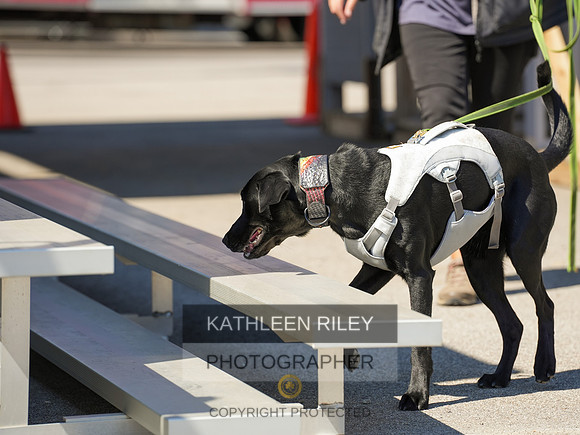 2022-KathleenRileyPhotography-04143
