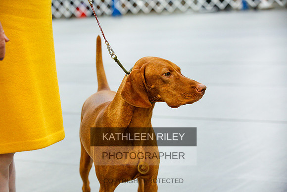 2022-KathleenRileyPhotography-9693