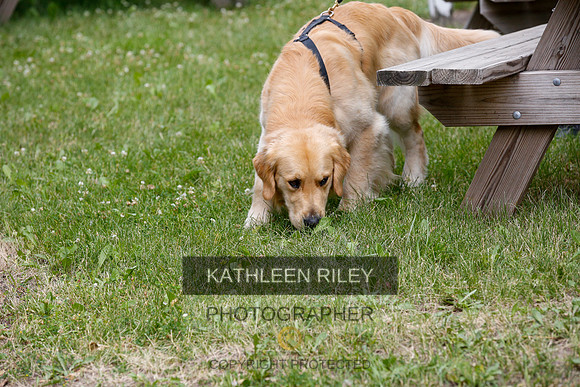 2022-KathleenRileyPhotography-9683