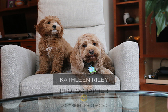 2022-KathleenRileyPhotography-1059