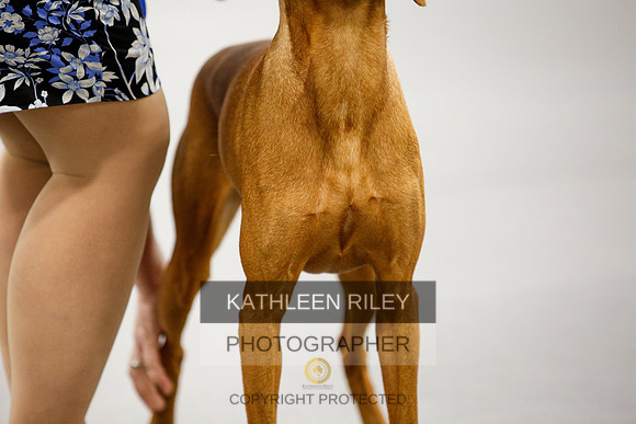 2022-KathleenRileyPhotography-1693