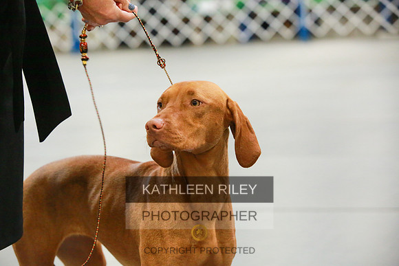 2022-KathleenRileyPhotography-8742