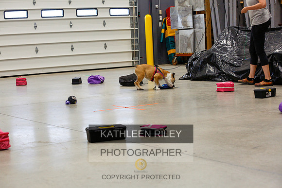2022-KathleenRileyPhotography-7028