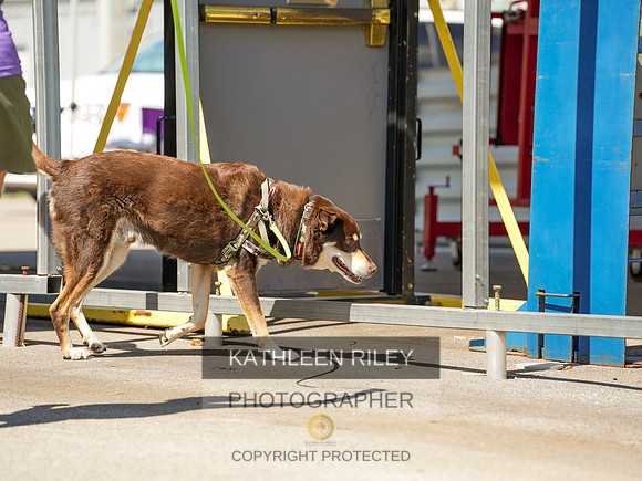 2022-KathleenRileyPhotography-04231