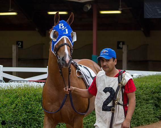 Eye Fly Bye AQHA at Canterbury Park
