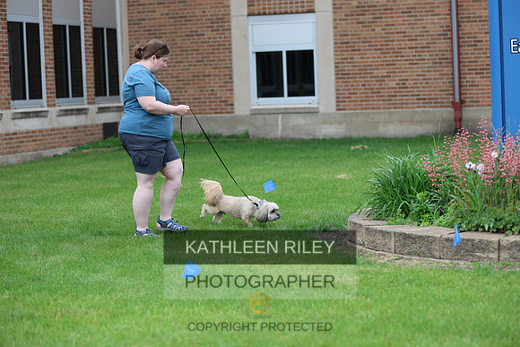 SJLT2364