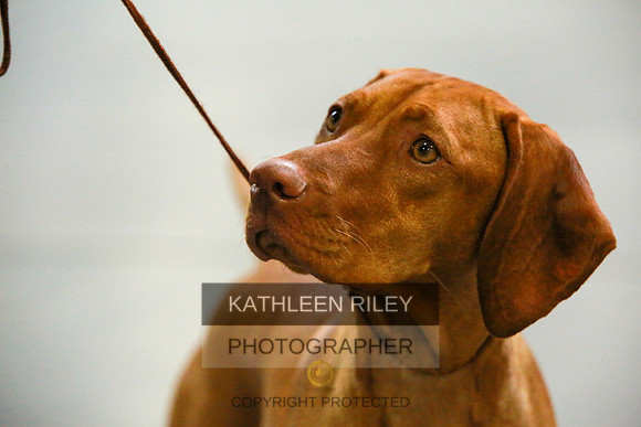 2022-KathleenRileyPhotography-8852