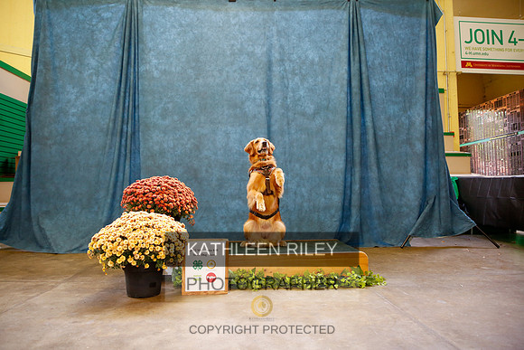 2022-KathleenRileyPhotography-0683