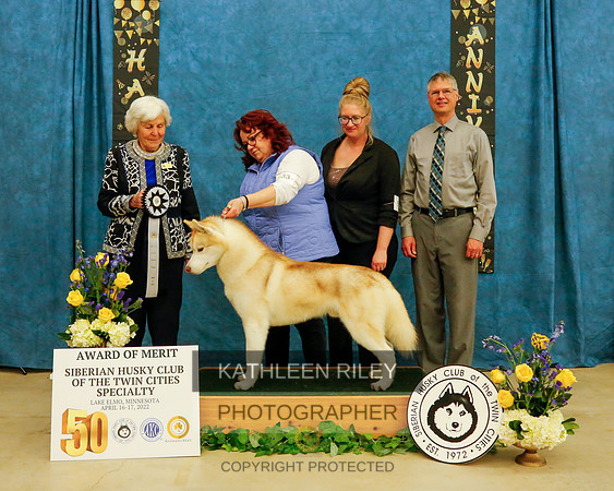 AWARD OF MERIT SUNDAY KathleenRileyPhotography-0084 GCHB ECHOING WIND'S BAUER HAWKEY. WS58413101. 9/8/2017. Dog.Breeder: Charity Reger. By Kansa Kiss My Country Ahh - TLC's A Slice Of Heaven.Owner(s):